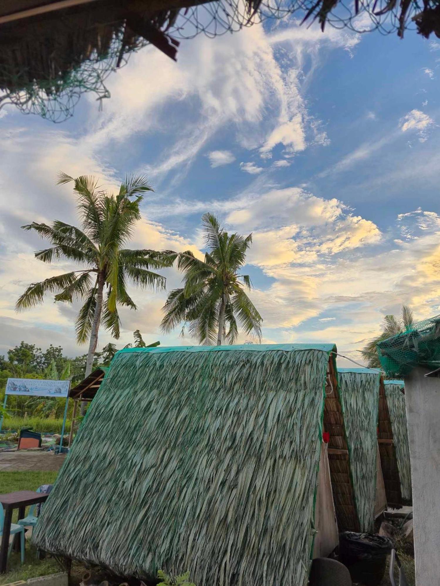 Nirvana Resort & Dive Centre - Moalboal Eksteriør billede